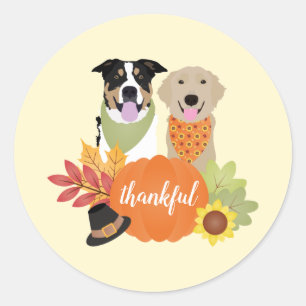 Sticker Rond Chiens de grâce Thanksgiving Citrouilles de récolt