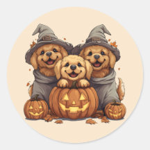 Chiens de l'Halloween Golden Retriever Jack-o'-lan