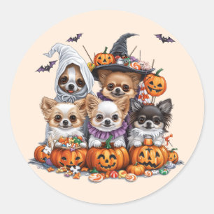 Sticker Rond Chiens d'Halloween Chihuahua