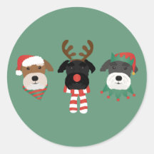Chiens Schnauzer de Noël