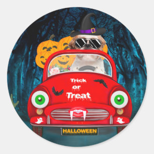 Sticker Rond Chih Tzu Chien Conduite Voiture Effrayant Hallowee