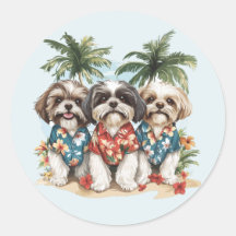 Chih Tzu Chiens Portant Des Chemises Hawaïennes