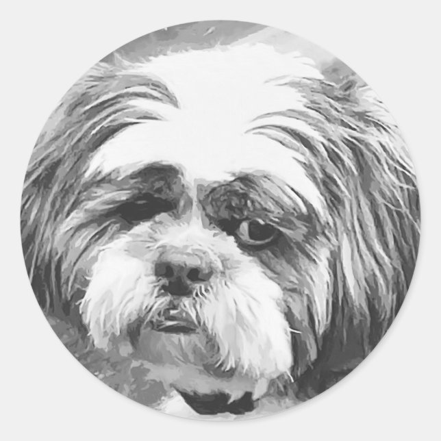 STICKER ROND CHIH TZU DOG (Devant)