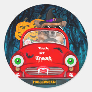 Sticker Rond Chihuahua Chien voiture voiture effrayant Hallowee