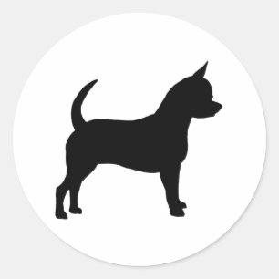 Sticker Rond Chihuahua Chig