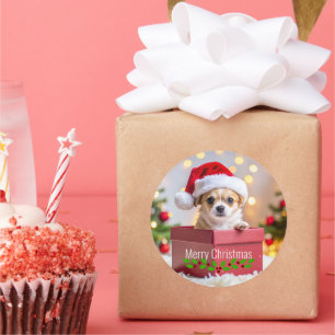 Sticker Rond Chihuahua chiot Noël