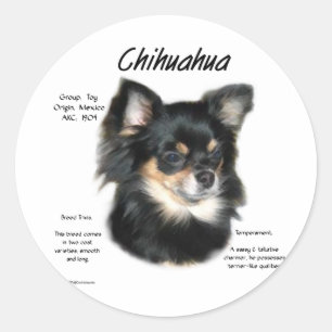 Sticker Rond Chihuahua (longue) Conception historique