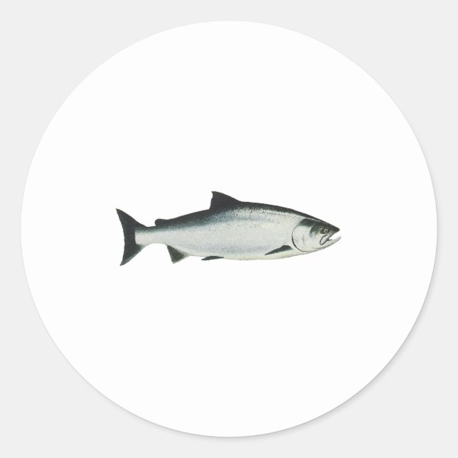 Sticker Rond Chinook - King Saumon (Devant)