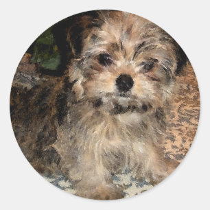Sticker Rond Chiot de Shorkie