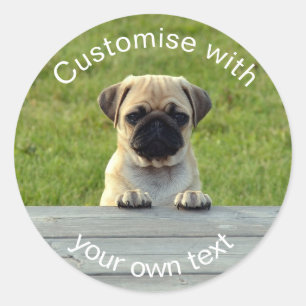 Sticker Rond Chiot fait sur commande de carlin