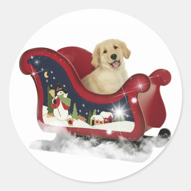 Sticker Rond Chiot Golden Retriever (Devant)