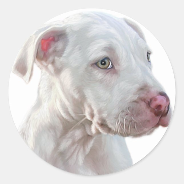 Sticker Rond Chiot Pitbull blanc (Devant)