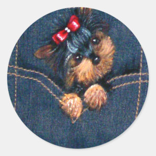 Sticker Rond Chiot Yorkie dans la poche