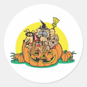 Sticker Rond chiots dans un citrouille
