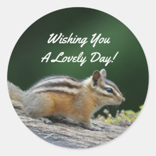 Sticker Rond Chipmunk On Log