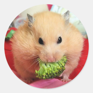 Sticker Rond Chmurka et brocoli