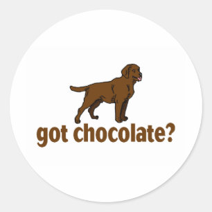 Sticker Rond Chocolat Labrador
