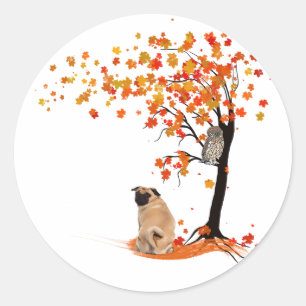 Sticker Rond Chouette carlin Et Arbre Automne Propriétaire Carl