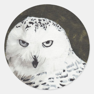 Sticker Rond Chouette des neiges