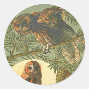 Sticker Rond Chouette Lune Art nouveau Anton Seder brun vert