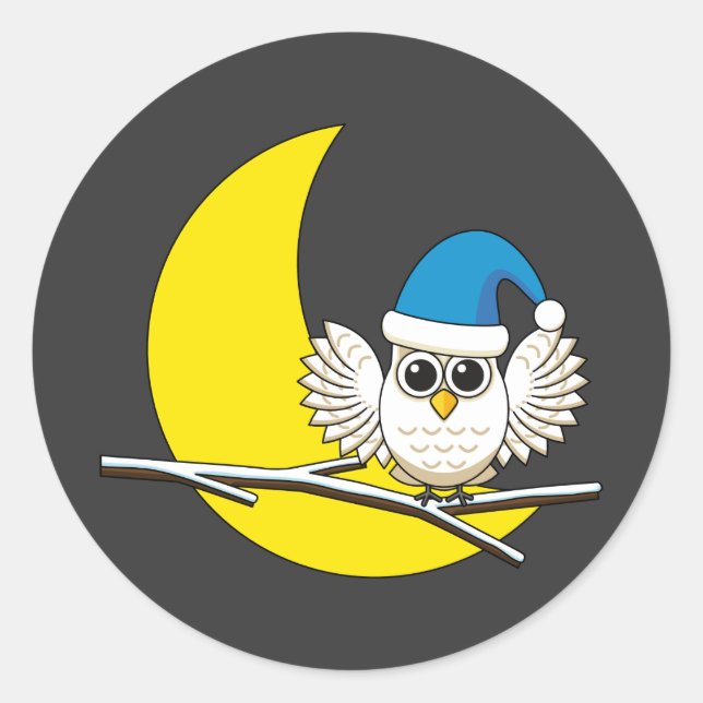Sticker Rond Chouette neigeuse dans une nouvelle nuit d'hiver s (Devant)