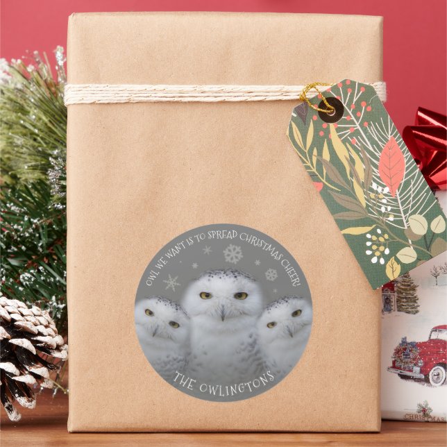 Sticker Rond Chouette Nous Voulons Étendre Noël Cheer Chouette  (vacances)