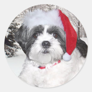 Sticker Rond Christmas Shih Tzu