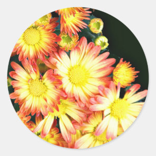 Sticker Rond Chrysanthèmes