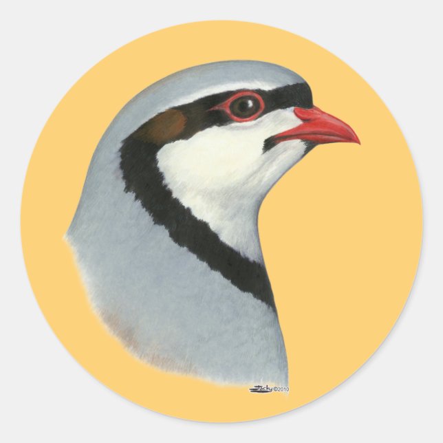 Sticker Rond Chukar : tête de perdrix (Devant)