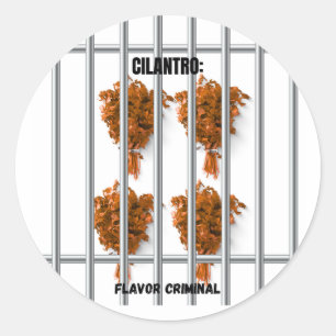 Sticker Rond Cilantro : Criminel de saveur - Drôle anti-Cilantr