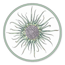 Sticker rond circulaire et chardon