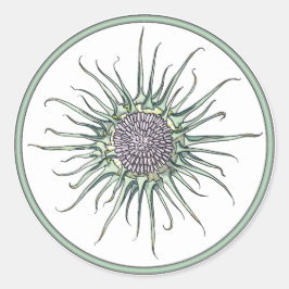 Sticker rond circulaire et chardon