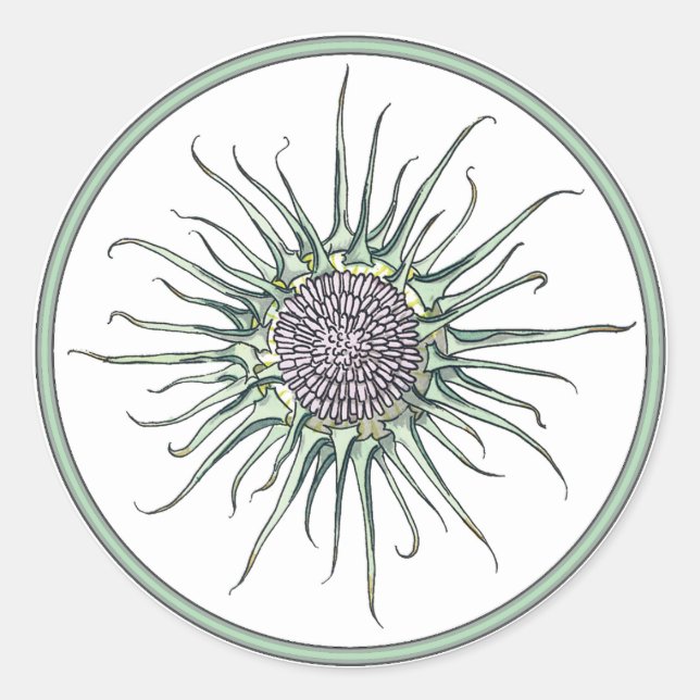 Sticker rond circulaire et chardon (Devant)