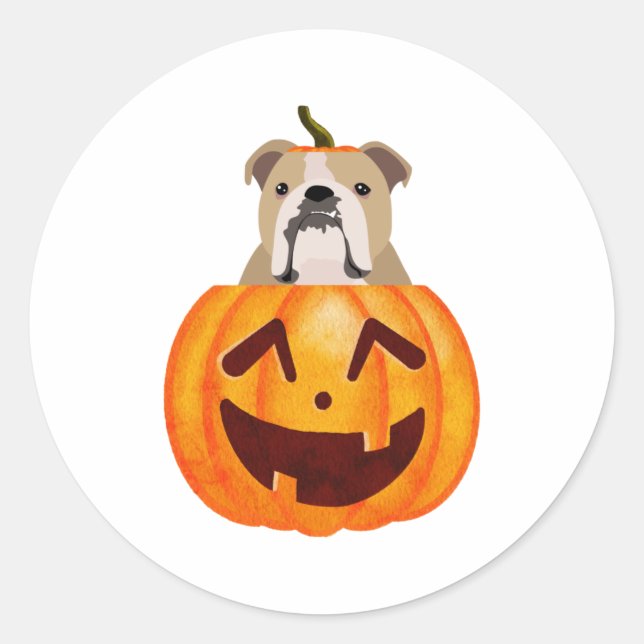 Sticker Rond Citrouille Bulldog (Devant)