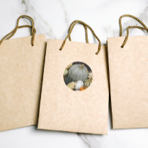 Citrouilles de récolte colorés