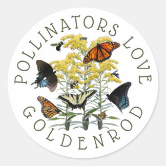 Sticker Rond Classes des Fleurs sauvages et des Pollinisateurs 
