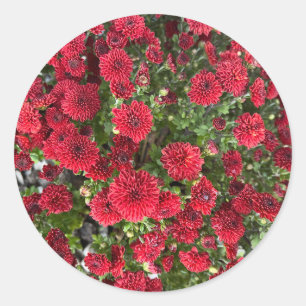 Sticker rond classique