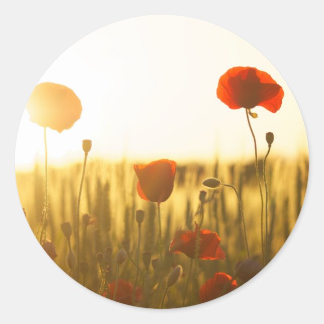 Sticker rond classique (Devant)