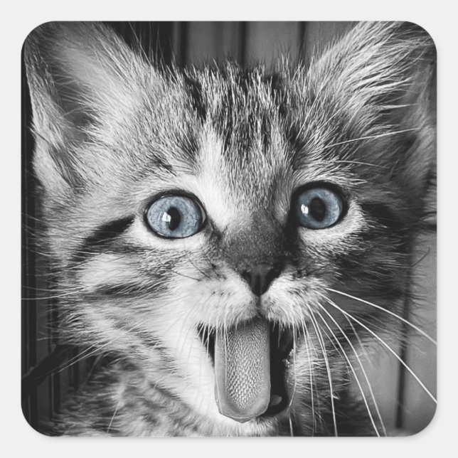 Sticker rond classique Cute Kitten secourt (Devant)