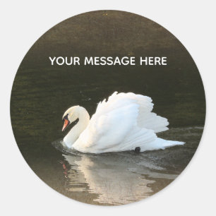Sticker rond classique cygne