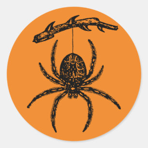 Sticker rond classique de l'Araignée orange d'Hall