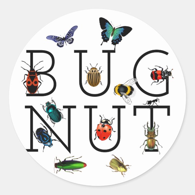 Sticker rond classique de noix de cochon (Devant)