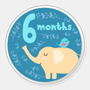 Sticker rond classique pour bébé de 6 mois