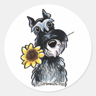 Sticker Rond Classique Sunny Schnauzer