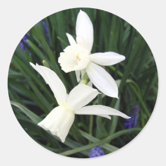 Sticker rond classique Thalia Daffodils blanc