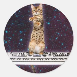 Sticker Rond Clavier chat frappe à nouveau