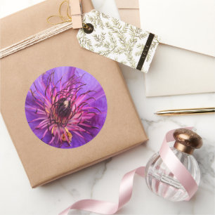 STICKER ROND CLEMATIS