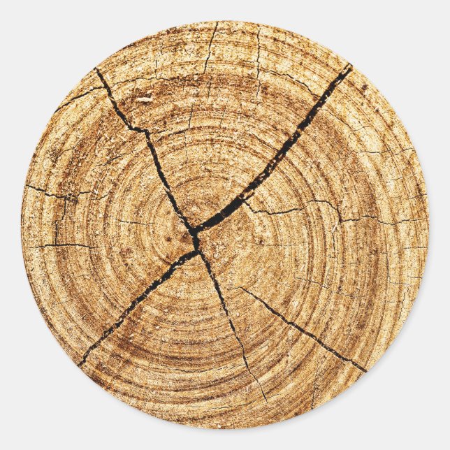 Sticker Rond Closeuse des anneaux d'arbre (Devant)