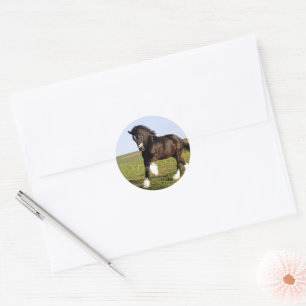 Sticker Rond Clydesdale Horse