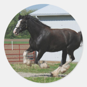 Sticker Rond Clydesdale noire